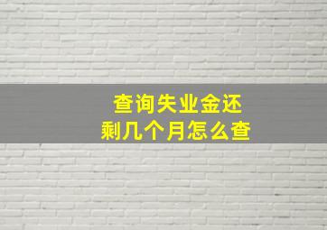 查询失业金还剩几个月怎么查