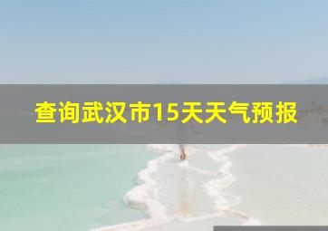 查询武汉市15天天气预报