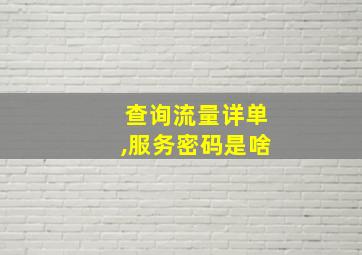 查询流量详单,服务密码是啥