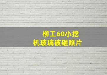 柳工60小挖机玻璃被砸照片