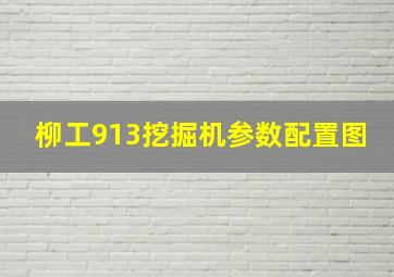 柳工913挖掘机参数配置图