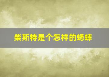 柴斯特是个怎样的蟋蟀