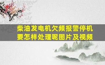 柴油发电机欠频报警停机要怎样处理呢图片及视频