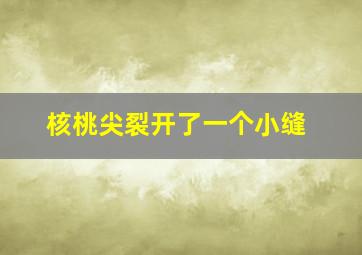 核桃尖裂开了一个小缝