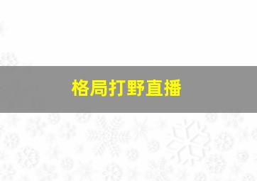 格局打野直播