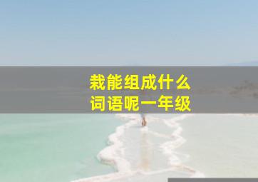 栽能组成什么词语呢一年级