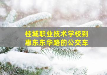 桂城职业技术学校到惠东东华路的公交车