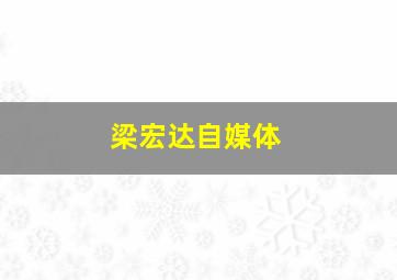 梁宏达自媒体