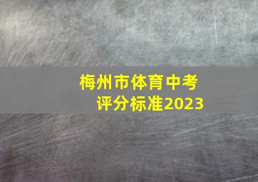 梅州市体育中考评分标准2023