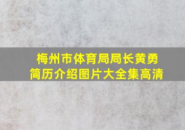 梅州市体育局局长黄勇简历介绍图片大全集高清