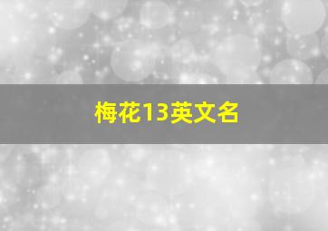 梅花13英文名