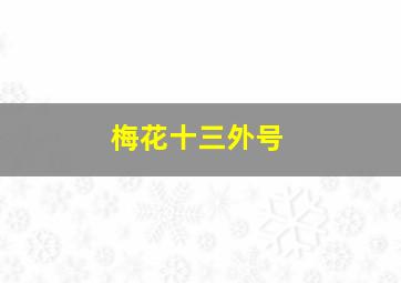 梅花十三外号