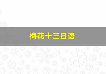 梅花十三日语