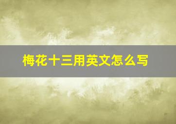 梅花十三用英文怎么写