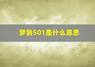 梦到501是什么意思