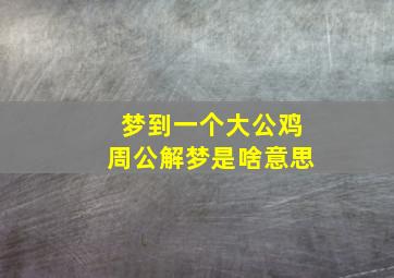 梦到一个大公鸡周公解梦是啥意思