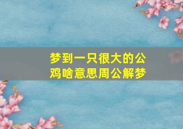 梦到一只很大的公鸡啥意思周公解梦