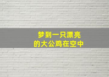 梦到一只漂亮的大公鸡在空中