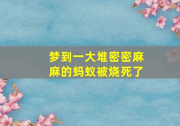 梦到一大堆密密麻麻的蚂蚁被烧死了