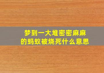 梦到一大堆密密麻麻的蚂蚁被烧死什么意思