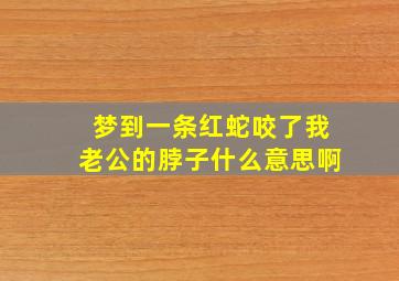 梦到一条红蛇咬了我老公的脖子什么意思啊