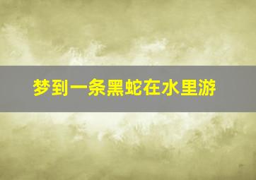 梦到一条黑蛇在水里游