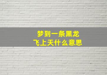 梦到一条黑龙飞上天什么意思