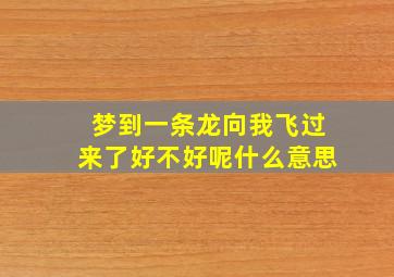 梦到一条龙向我飞过来了好不好呢什么意思