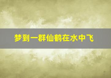 梦到一群仙鹤在水中飞