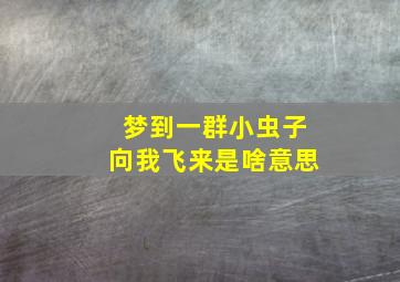 梦到一群小虫子向我飞来是啥意思