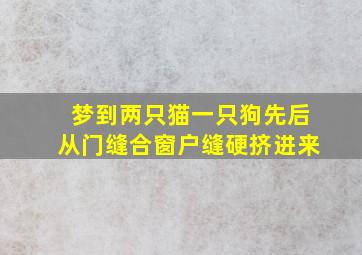 梦到两只猫一只狗先后从门缝合窗户缝硬挤进来