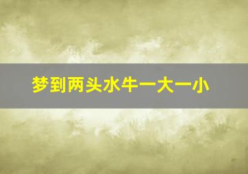 梦到两头水牛一大一小