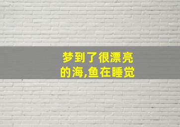 梦到了很漂亮的海,鱼在睡觉