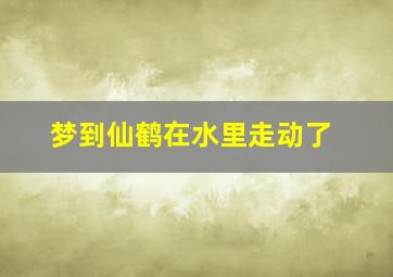 梦到仙鹤在水里走动了