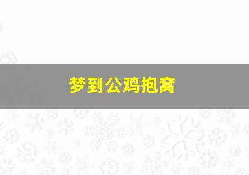 梦到公鸡抱窝