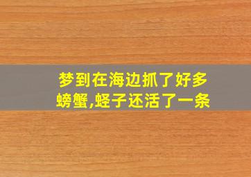 梦到在海边抓了好多螃蟹,蛏子还活了一条