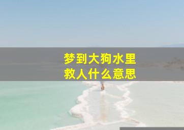 梦到大狗水里救人什么意思