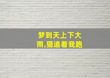 梦到天上下大雨,猫追着我跑