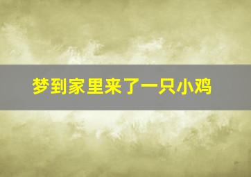 梦到家里来了一只小鸡