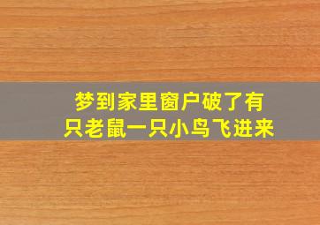 梦到家里窗户破了有只老鼠一只小鸟飞进来