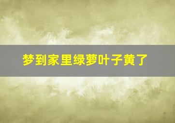 梦到家里绿萝叶子黄了