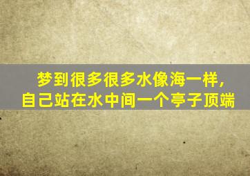 梦到很多很多水像海一样,自己站在水中间一个亭子顶端