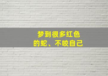 梦到很多红色的蛇、不咬自己