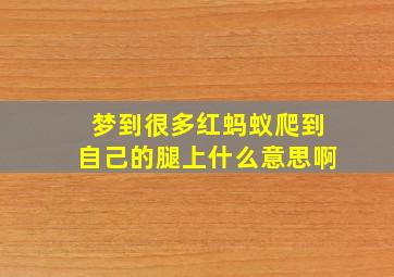 梦到很多红蚂蚁爬到自己的腿上什么意思啊