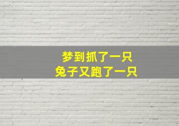 梦到抓了一只兔子又跑了一只