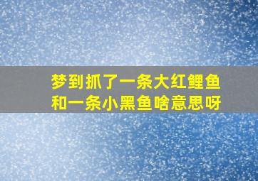 梦到抓了一条大红鲤鱼和一条小黑鱼啥意思呀