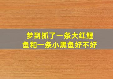 梦到抓了一条大红鲤鱼和一条小黑鱼好不好