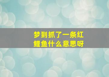 梦到抓了一条红鲤鱼什么意思呀