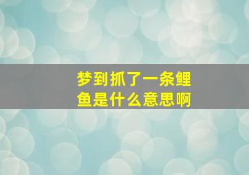 梦到抓了一条鲤鱼是什么意思啊