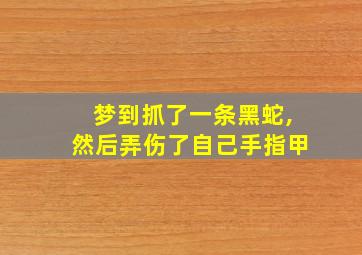 梦到抓了一条黑蛇,然后弄伤了自己手指甲